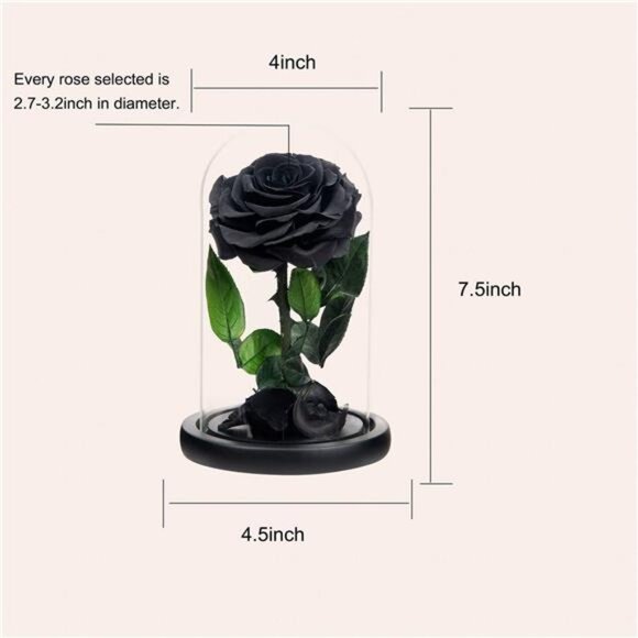 NATROSES Handmade Preserved Roses in Glass Dome, Long lasting Black Roses Real - Picture 2 of 16